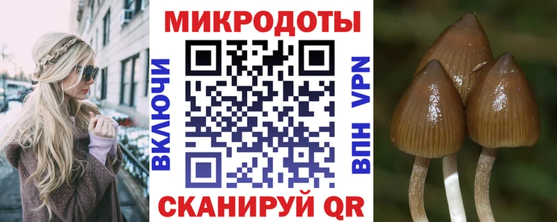 Псилоцибиновые грибы MAGIC MUSHROOMS  Купить закладки  Зеленоградск 